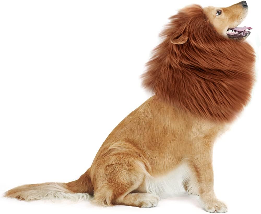 Halloween Fancy Dog Lion Costume