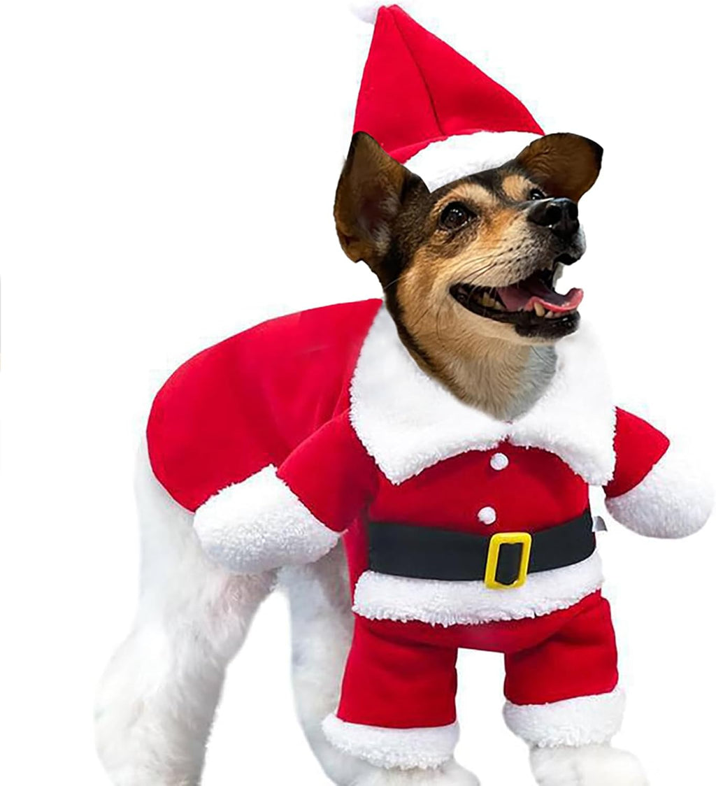 Festive Santa Claus Pet Costume Set