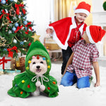 Festive Christmas Costume for Small Pets