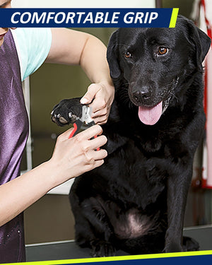 Dog Nail Clippers