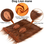 Halloween Fancy Dog Lion Costume