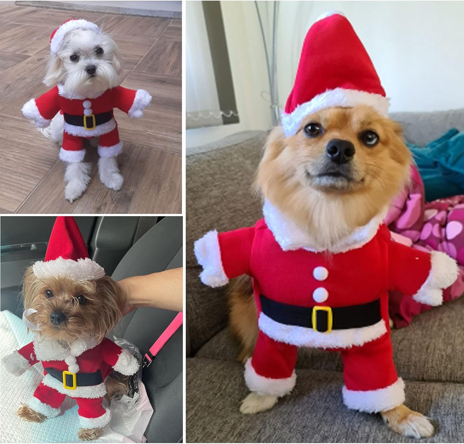 Festive Santa Claus Pet Costume Set