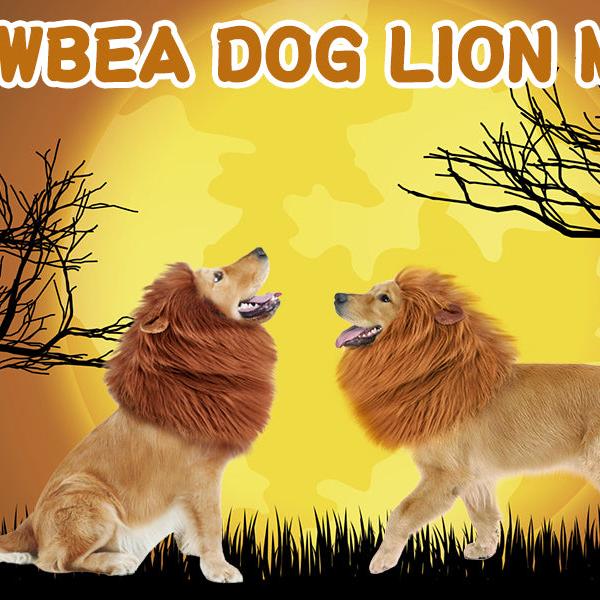 Halloween Fancy Dog Lion Costume